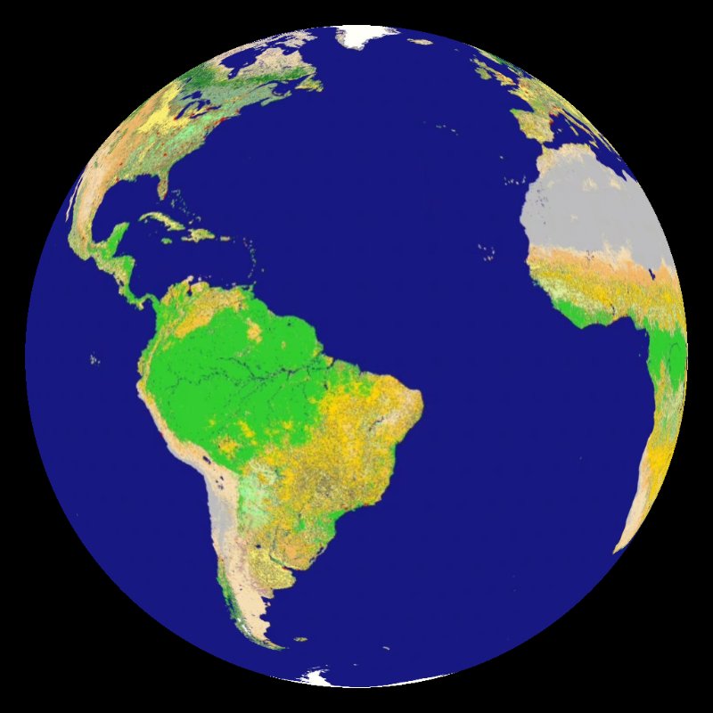 Image of land cover