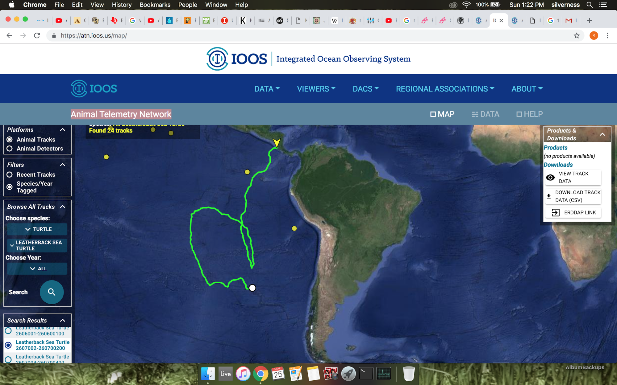 A screenshot of the Integrated Ocean Observing System website showing the turtle track data