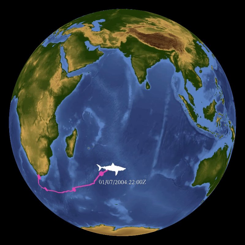 Great White Shark Track Dataset | Science On a Sphere
