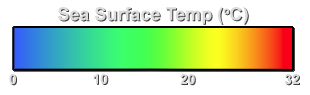 Color Bar for SST