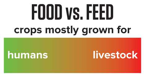 Food vs. Feed Colorbar