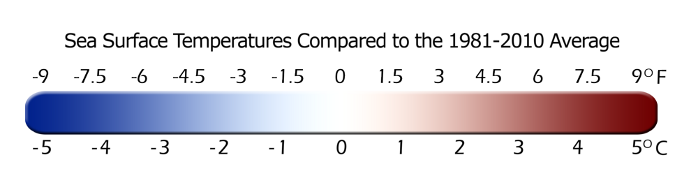 Color Bar for SST