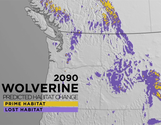 Protecting Wildlife In A Changing Climate Science On A Sphere