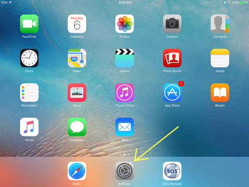 The iOS Settings application located in the dock on an iPad in landscape orientation