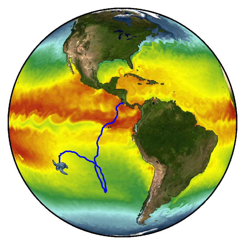 Rendered on SOS, the moving PIP is marked with an illustration of a sea turtle, and the path it traveled is a blue line