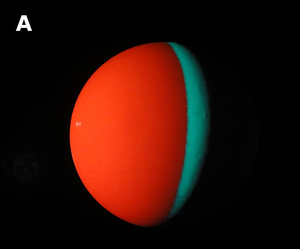 A vertical line divides the sphere, showing bright red on the left and cyan on the right